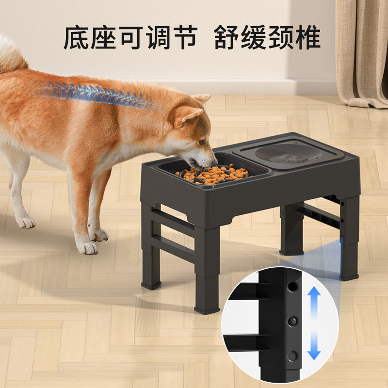 Pet Food Bowl