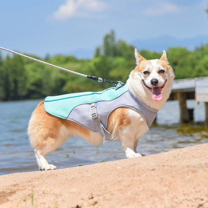 Dog Cooling harnas