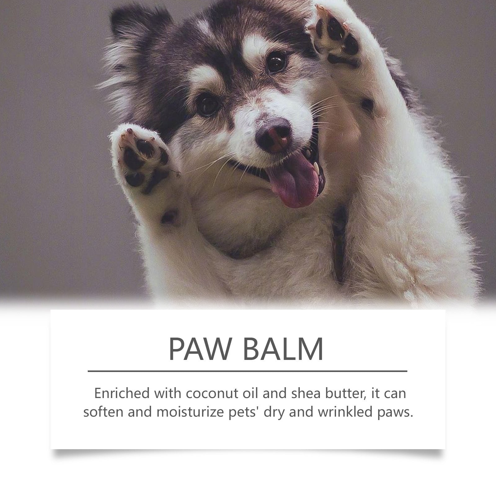 Dog Paw Cream Nose Care Cream