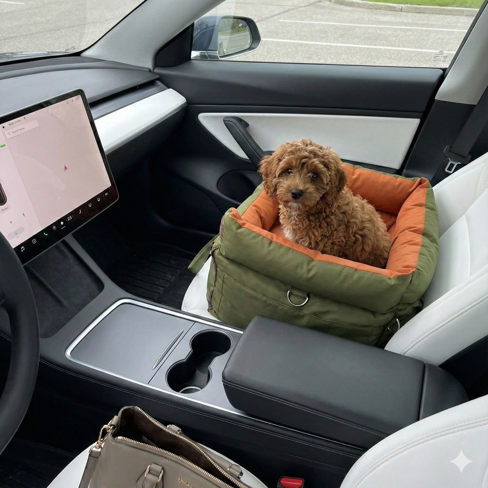 <p>Zachte mand voor mijn hondje</p>