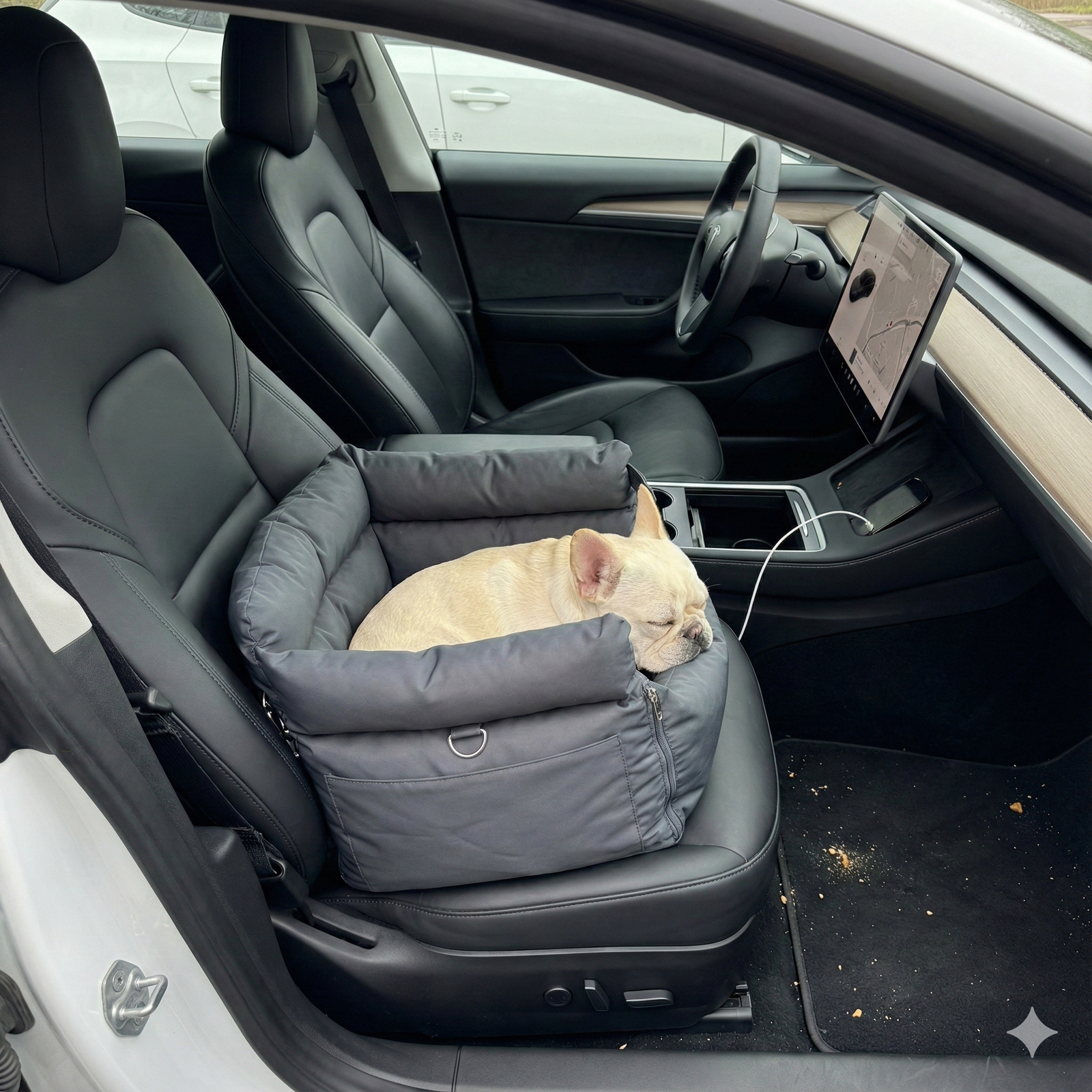 <p>Hij slaapt er zelfs in</p>